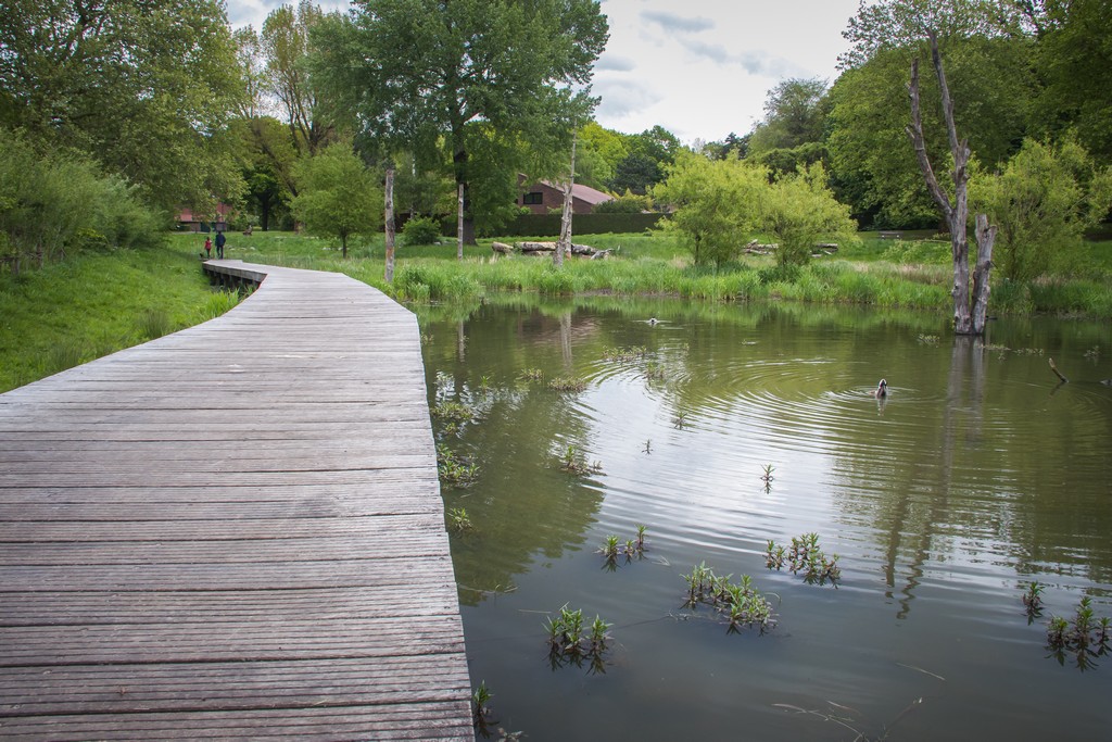 Parc du Hautmont